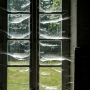 Sophie  Bourzeix -fenêtre aux toiles d'araignée